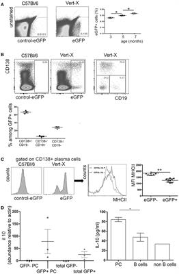 Bone Marrow Plasma Cells Modulate Local Myeloid-Lineage Differentiation via IL-10